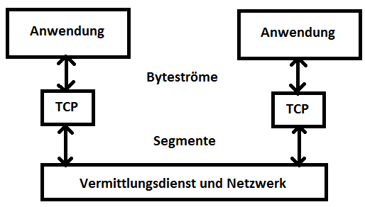 Segmente